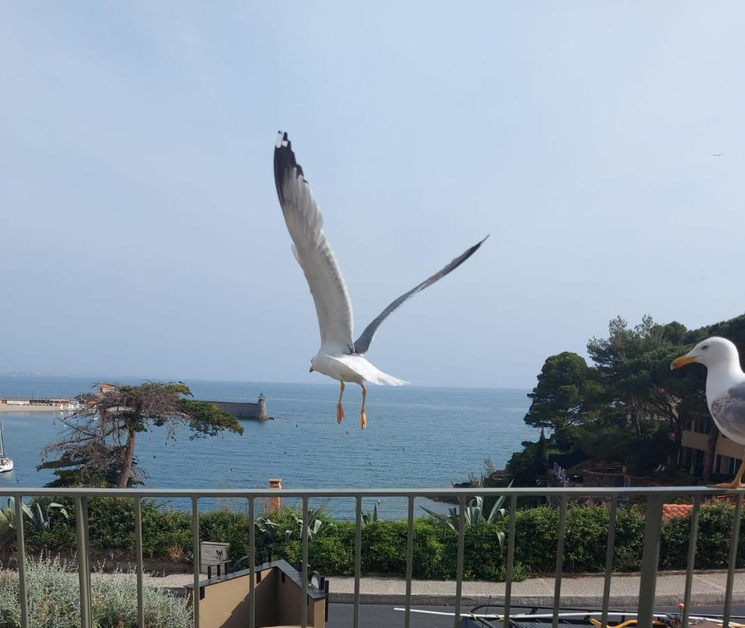 Hotel Le Bon Port Collioure Eksteriør billede